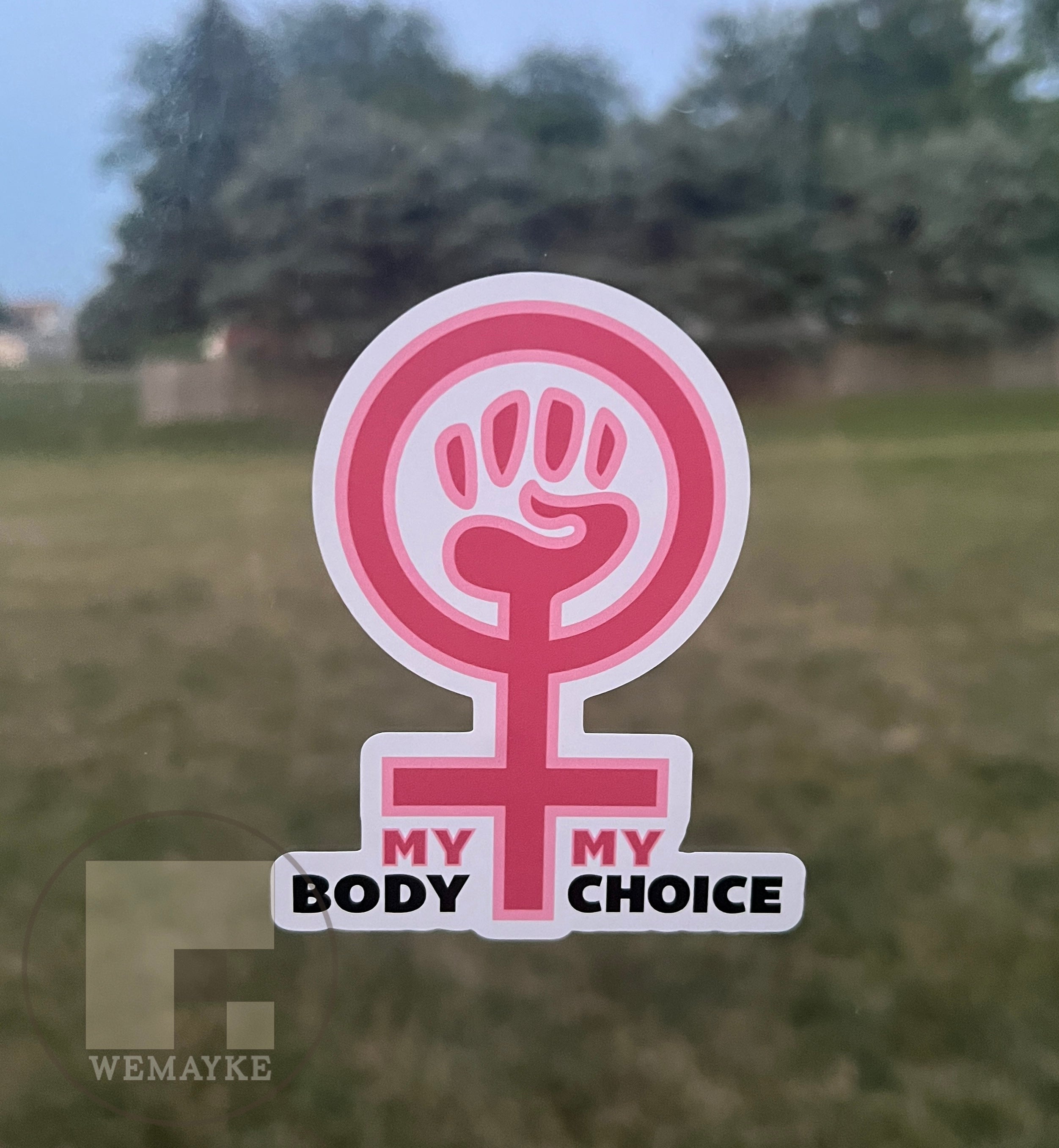 (S49) My Body My Choice Women - Decal / Sticker